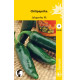 CHILIPAPRIKA Jalapeño M HR4