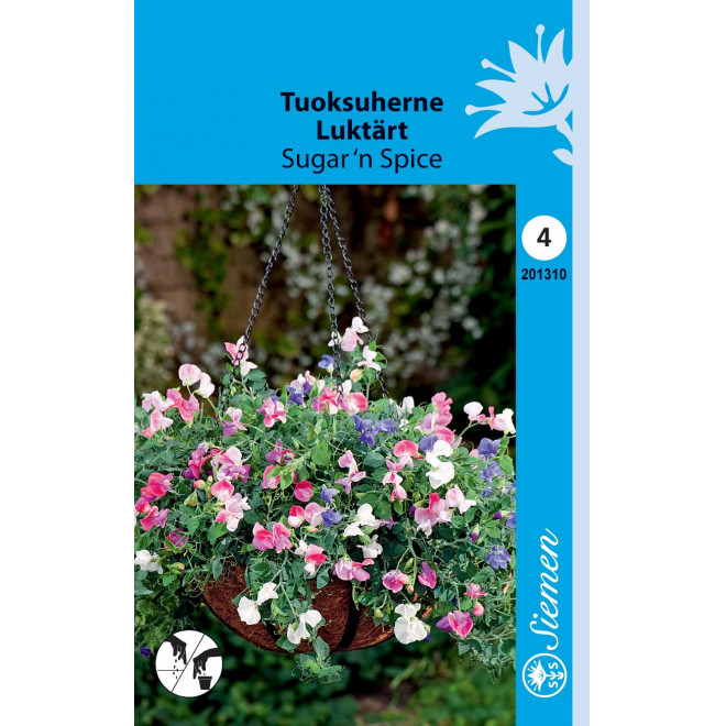 TUOKSUHERNE SUGAR N SPICE HR4