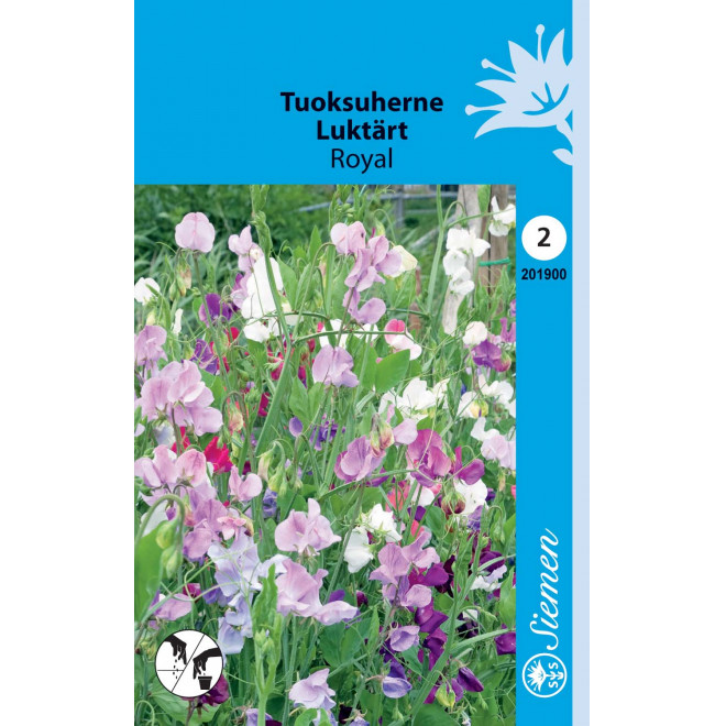 TUOKSUHERNE ROYAL SEKOITE HR2