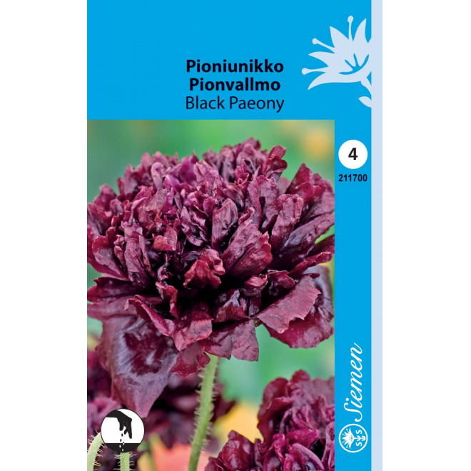 PIONIUNIKKO Black Paeony